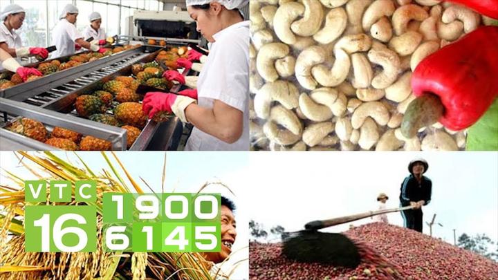 Hotspot Matrix: Biến California Fitness ra mắt thành cơ hội marketing đột phá