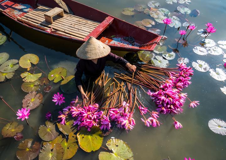 Từ 5 kiểu áo dễ